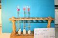 gal/LES_CINQUIEMES/ACTIVITE DIGESTION IN VITRO/Groupe_02/Groupe02_T_00h00min/_thb_Groupe02_temps__H__min_9.jpg